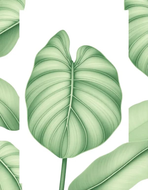 Póster botánico de una hoja de monstera